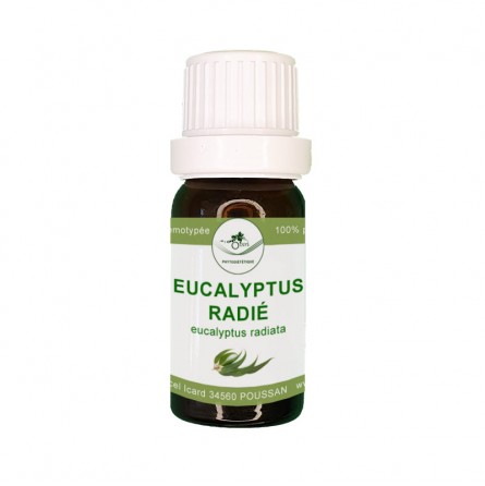 Eucalyptus Radié - Huile essentielle – Elle Aime & Cie
