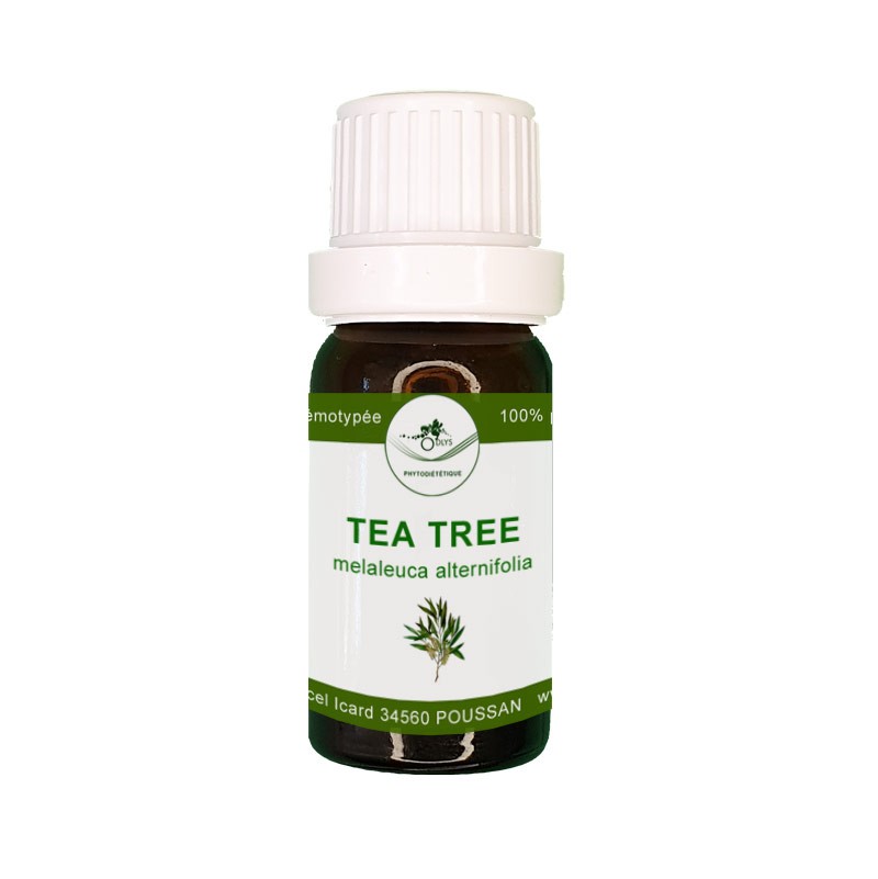 Tisanes Fouché - Huile essentielle de tea tree bio : Melaleuca alternifolia  - Flacon de 10 ml