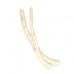 GUIMAUVE RACINE EN HOCHET