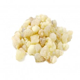 ENCENS CARTERII EN LARMES -...