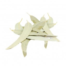 EUCALYPTUS - 100 g