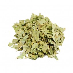 GYMNEMA SYLVESTRIS - 100 g