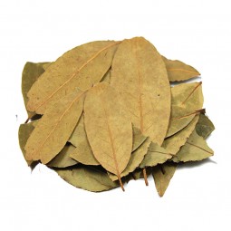 LAURIER SAUCE - 50 g