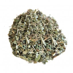 LIERRE TERRESTRE - 100 g
