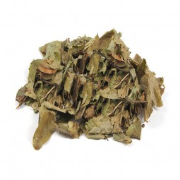 MYRTILLE - 100 g