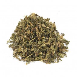 ORTIE BLANCHE, LAMIER BLANC...