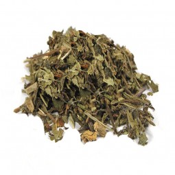 PISSENLIT FEUILLE - 100 g