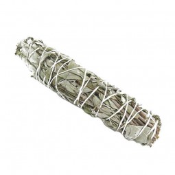 SAUGE BLANCHE - Bouquet