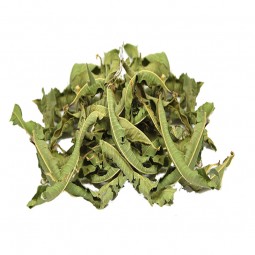 VERVEINE ODORANTE - 50 g