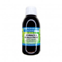 ECHINACÉE POURPRE - EXTRAIT...