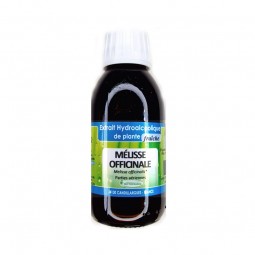 MÉLISSE OFFICINALE -...