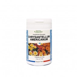 CHRYSANTELLUM AMERICANUM -...