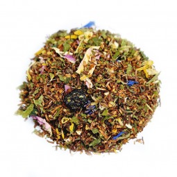 ROOIBOS "INFO ou DÉTOX ?" -...