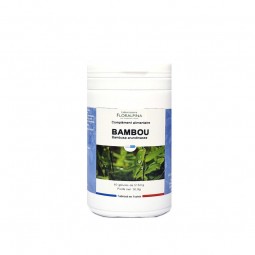 BAMBOU EXTRAIT - 60 gélules...