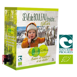 SÈVE DE BOULEAU FRAÎCHE...