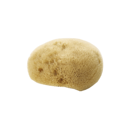 ÉPONGE NATURELLE FINE VISAGE