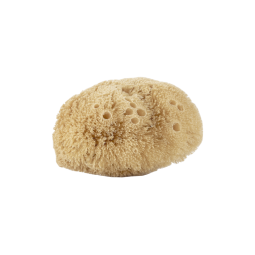 ÉPONGE NATURELLE CORPS