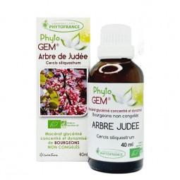 ARBRE JUDÉE BOURGEON BIO -...