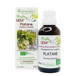 PLATANE BOURGEON BIO - 40 mL