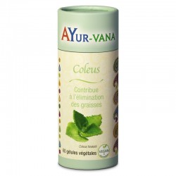 COLEUS EXTRAIT - 60 gélules...