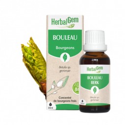 BOULEAU BOURGEON BIO - 30 mL