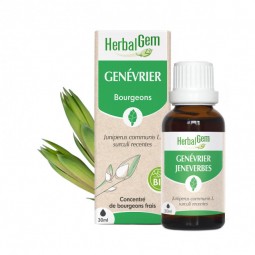 GENÉVRIER BOURGEON BIO - 30 mL