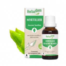 MYRTILLIER BOURGEON BIO -...