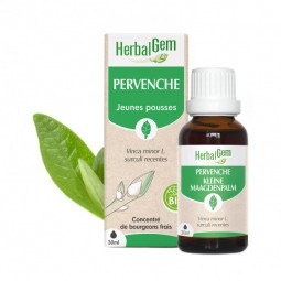 PERVENCHE BOURGEON BIO - 30 mL