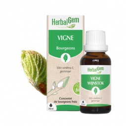 VIGNE BOURGEON BIO - 30 mL