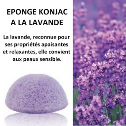 ÉPONGE KONJAC À LA LAVANDE