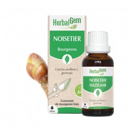 NOISETIER BOURGEON BIO - 30 mL