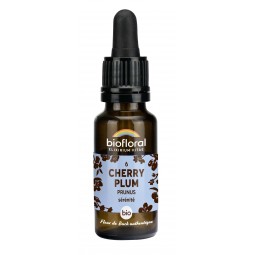 6 - CHERRY PLUM/PRUNUS BIO...