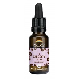 8 - CHICORY/CHICORÉE BIO -...