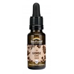 13 - GORSE/AJONC BIO - 20 mL