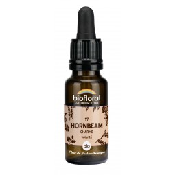 17 - HORNBEAM/CHARME BIO -...