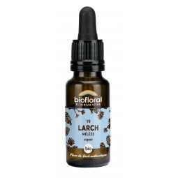 19 - LARCH/MÉLÈZE BIO - 20 mL