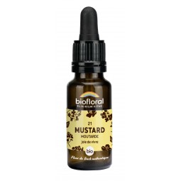 21 - MUSTARD/MOUTARDE BIO -...