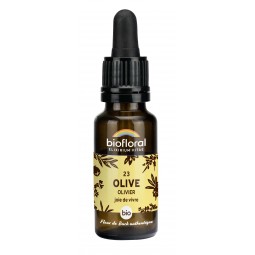 23 - OLIVE/OLIVIER BIO - 20 mL