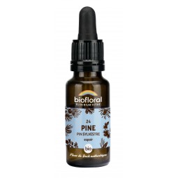 24 - PINE/PIN SYLVESTRE BIO...