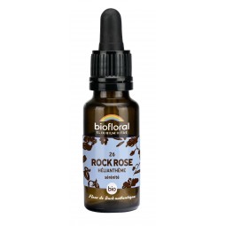 26 - ROCK ROSE/HÉLIANTHÈME...