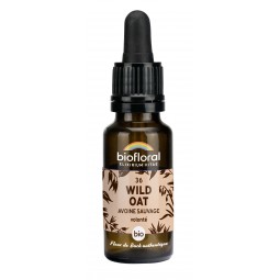 36 - WILD OAT/AVOINE...