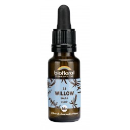 38 - WILLOW/SAULE BIO - 20 mL