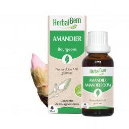 AMANDIER BOURGEON BIO - 30 mL