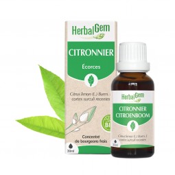 CITRONNIER BOURGEON BIO -...