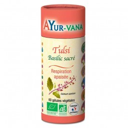 TULSI BIO (BASILIC SACRÉ) -...