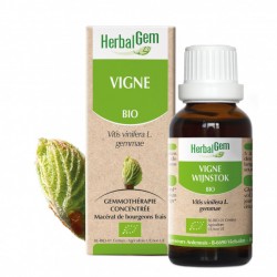 VIGNE BOURGEON BIO - 15 mL