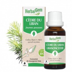 CÈDRE DU LIBAN BOURGEON BIO...