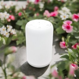 DIFFUSEUR PAR NÉBULISATION...