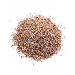 BRUYÈRE - 100 g