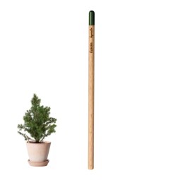 CRAYON DE PAPIER À PLANTER...